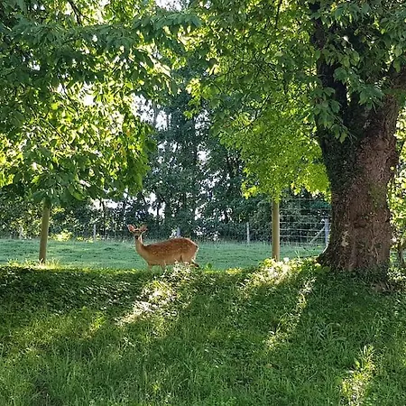 Einzigartiger Vierkanthof *