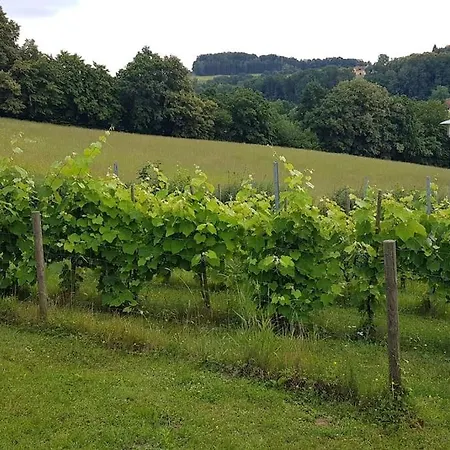 Apartman Einzigartiger Vierkanthof Fürstenfeld