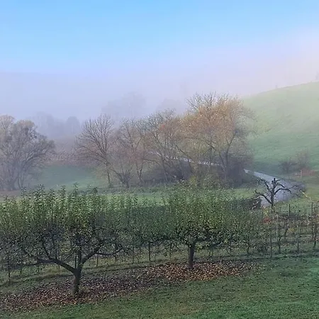 Einzigartiger Vierkanthof Fürstenfeld