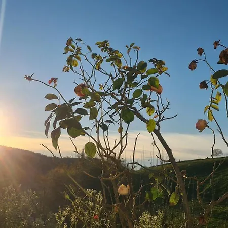 Einzigartiger Vierkanthof *