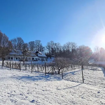 Einzigartiger Vierkanthof Lejlighed *