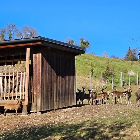 Lejlighed Einzigartiger Vierkanthof Fürstenfeld